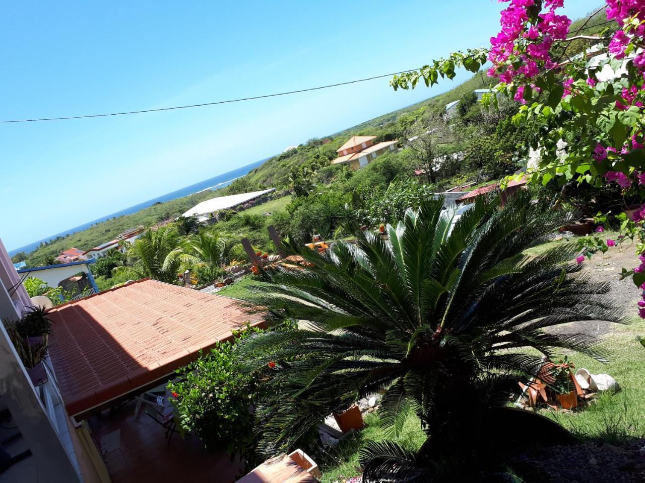 Appartement Vacances Goyave Cap Chevalier Eksteriør billede